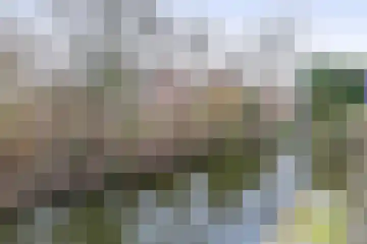 Waterschip 10 Brielle thumbnail 43