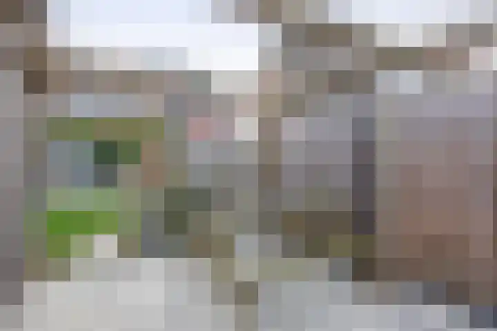 Waterschip 10 Brielle thumbnail 46