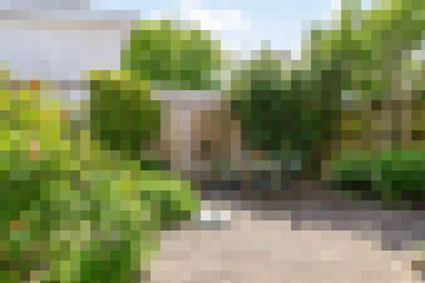 Waterschorpioen 26 Amersfoort thumbnail 4