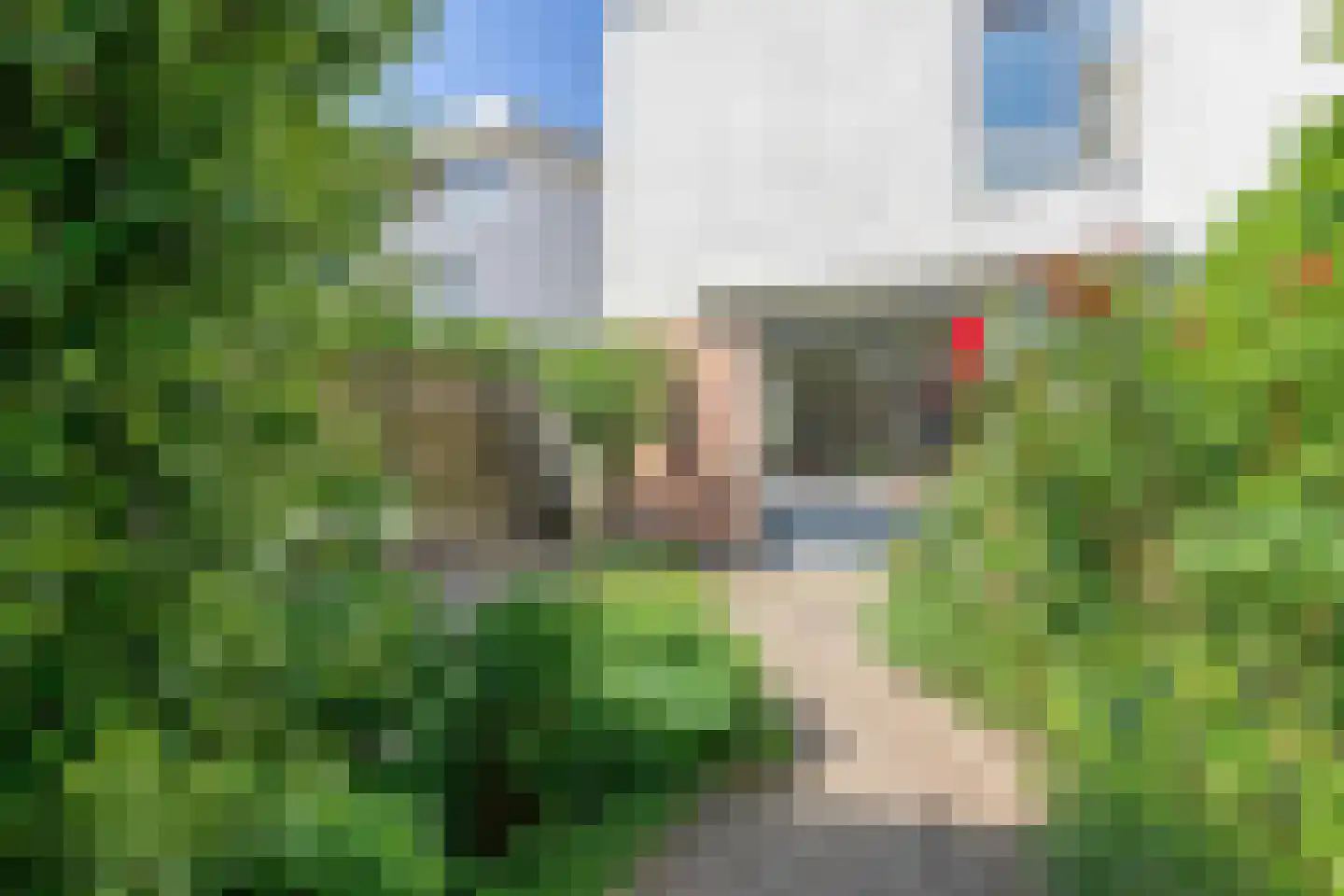 Waterschorpioen 26 Amersfoort thumbnail 40