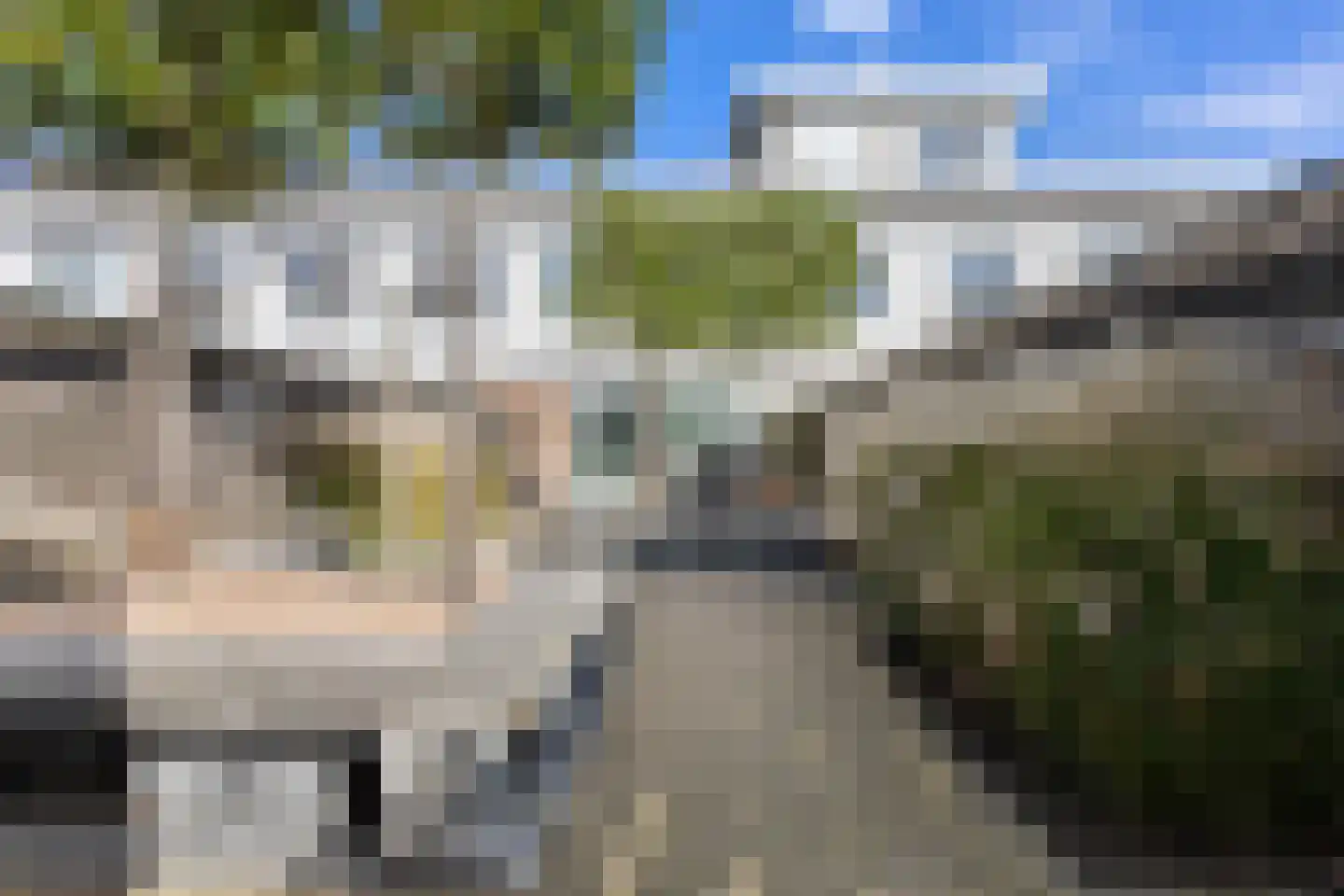 Waterschorpioen 5 Amersfoort thumbnail 27