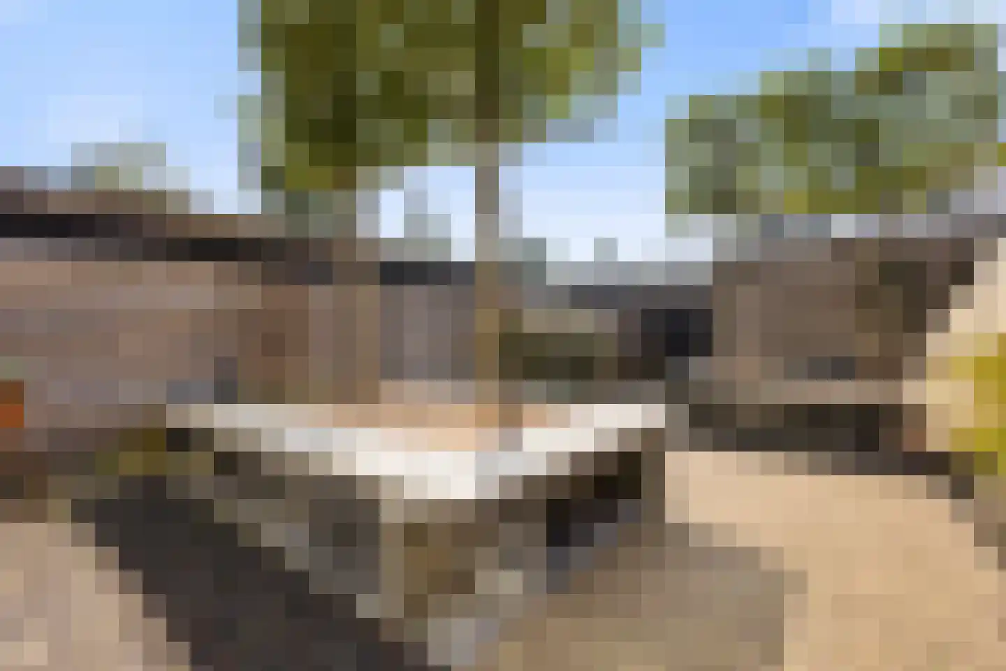 Waterschorpioen 5 Amersfoort thumbnail 30