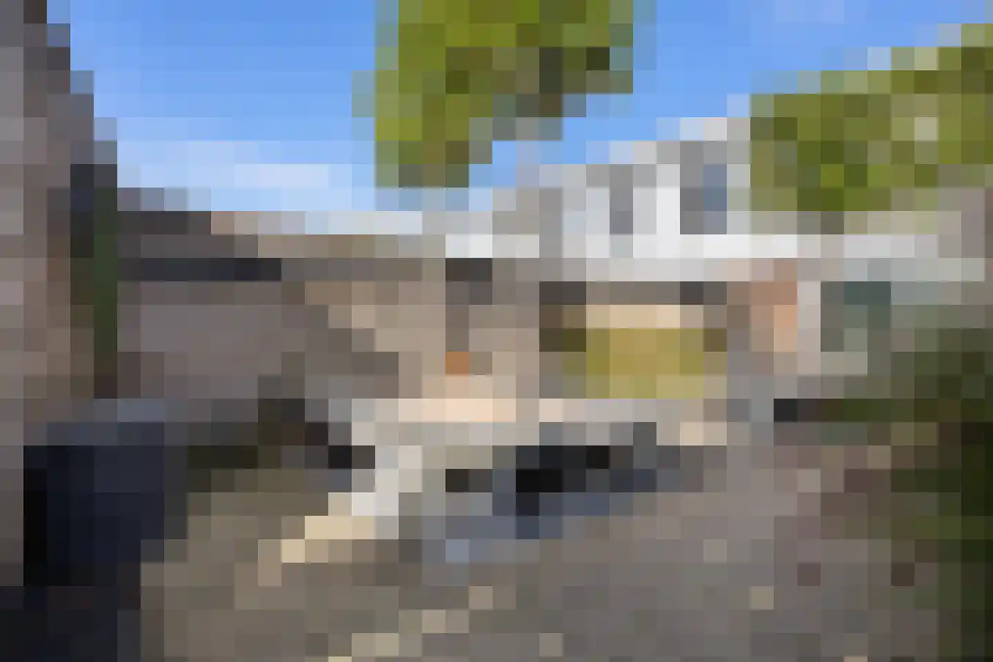 Waterschorpioen 5 Amersfoort thumbnail 31