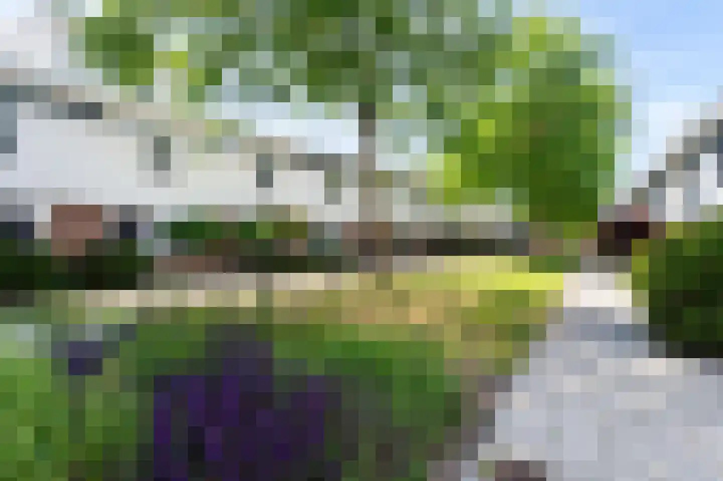 Waterschorpioen 5 Amersfoort thumbnail 33