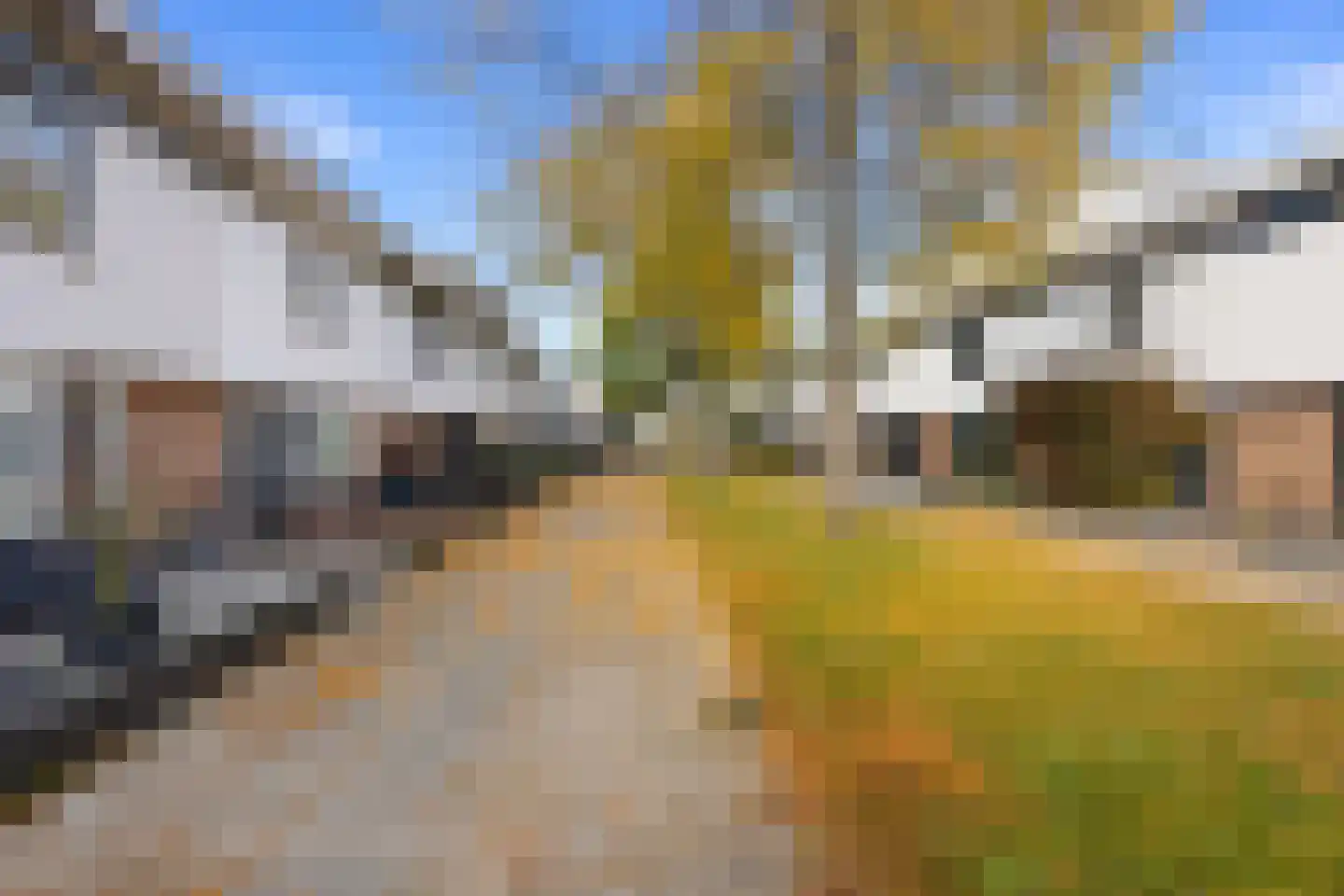 Waterschorpioen 5 Amersfoort thumbnail 35
