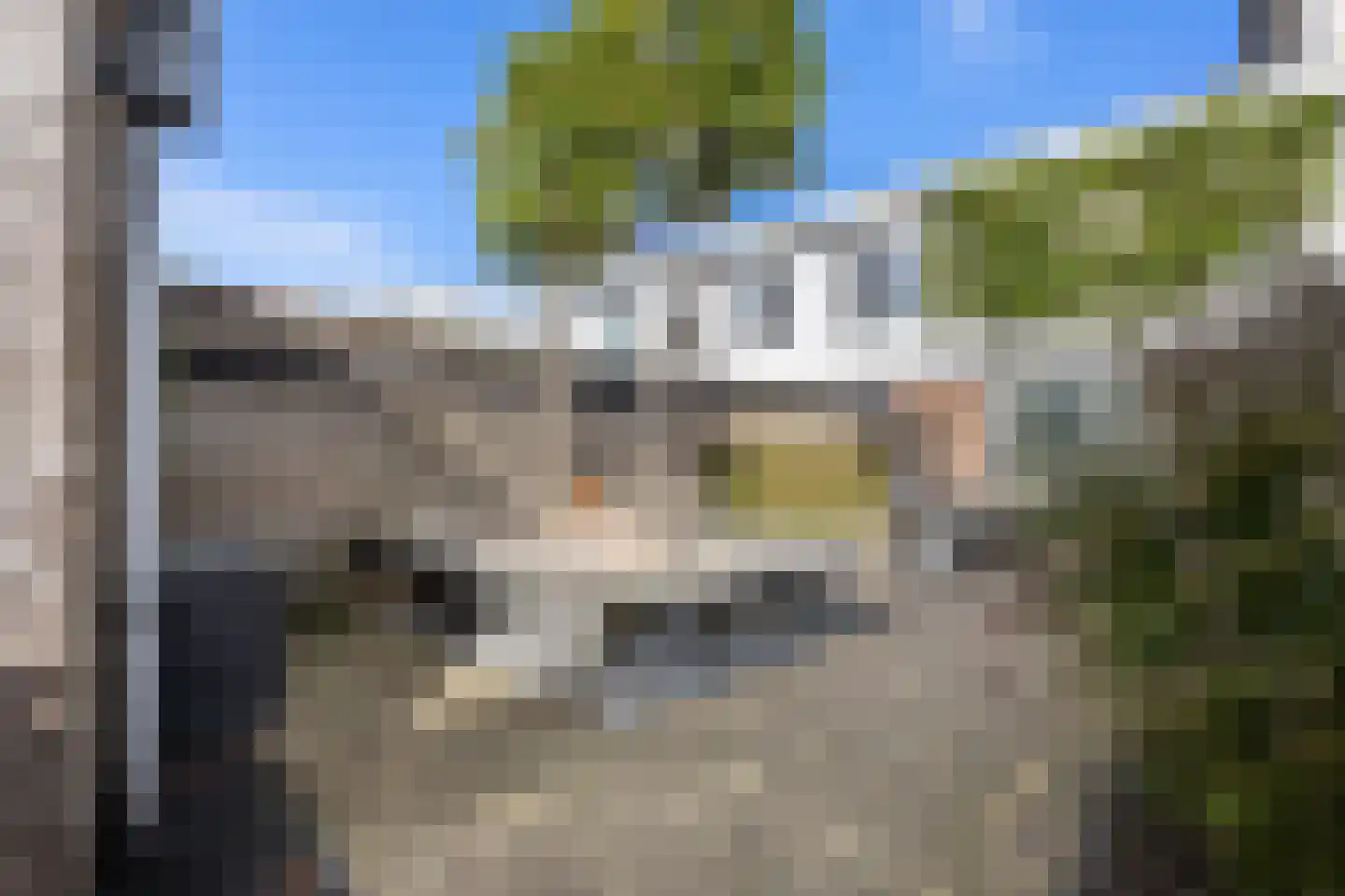 Waterschorpioen 5 Amersfoort thumbnail 4