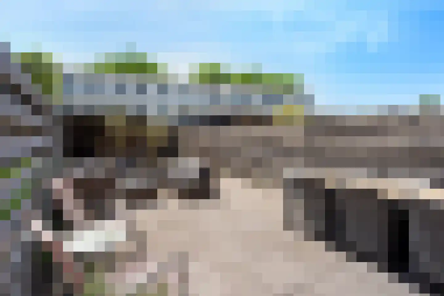 Waterschorpioen 7 Amersfoort thumbnail 47