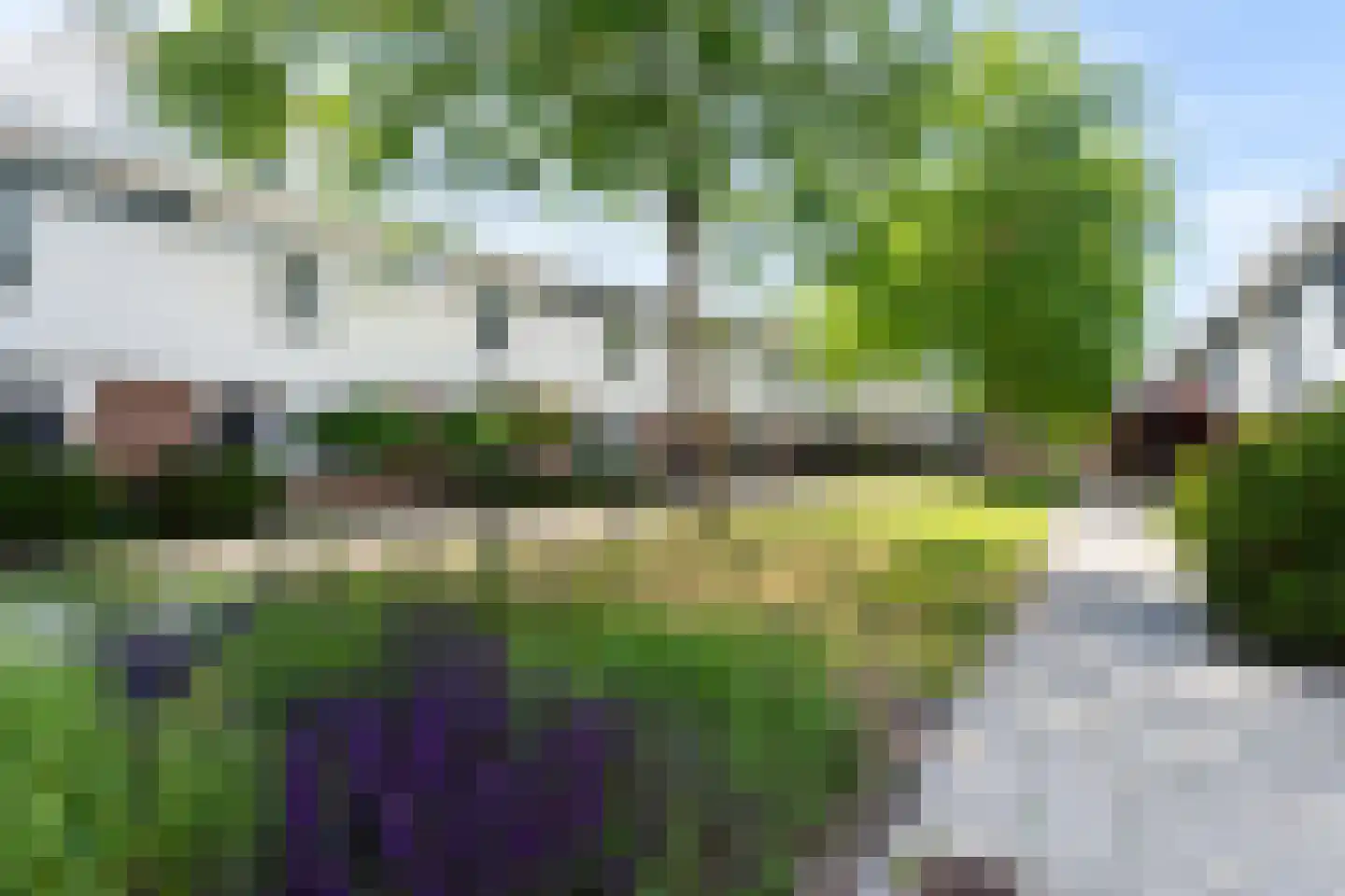 Waterschorpioen 7 Amersfoort thumbnail 55