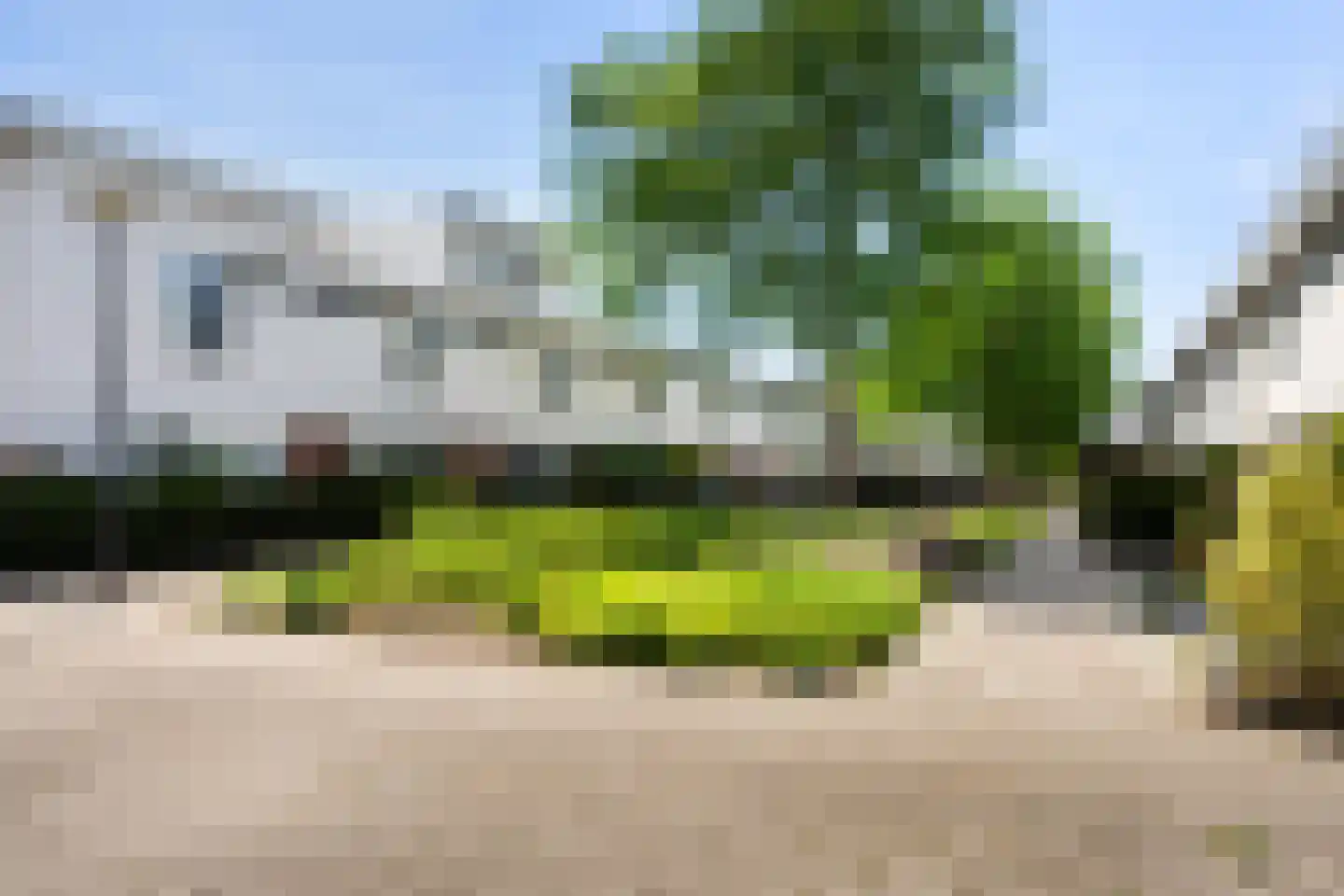 Waterschorpioen 7 Amersfoort thumbnail 56