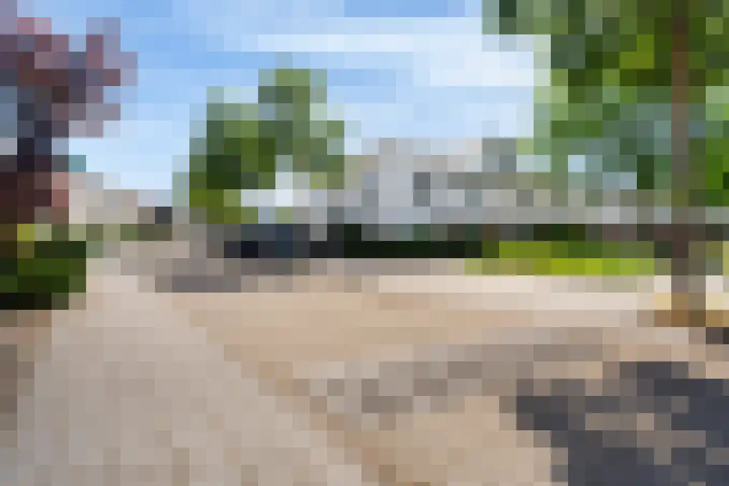 Waterschorpioen 7 Amersfoort thumbnail 57