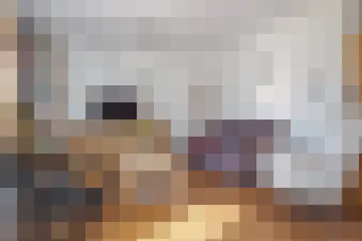 Watersingel 26 Leek thumbnail 13