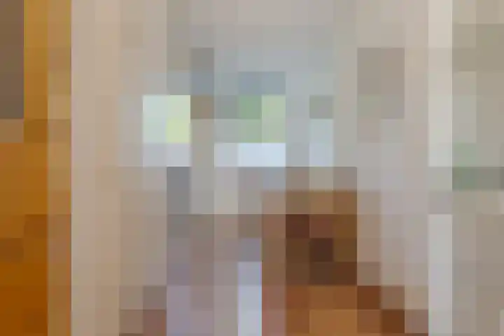 Watersingel 26 Leek thumbnail 16
