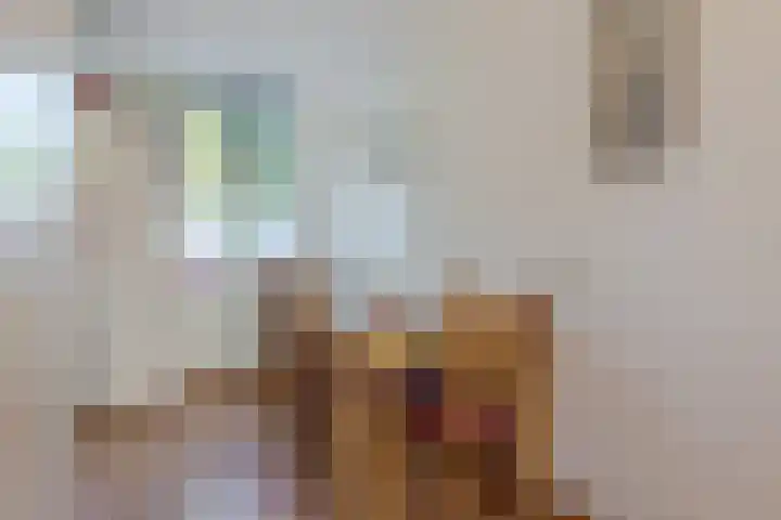 Watersingel 26 Leek thumbnail 17