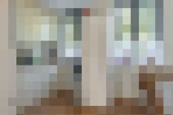 Watersingel 26 Leek thumbnail 19