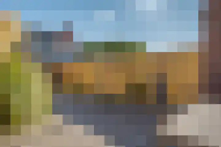 Watersingel 26 Leek thumbnail 24
