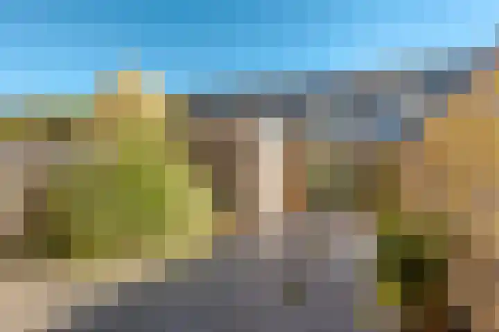 Watersingel 26 Leek thumbnail 25