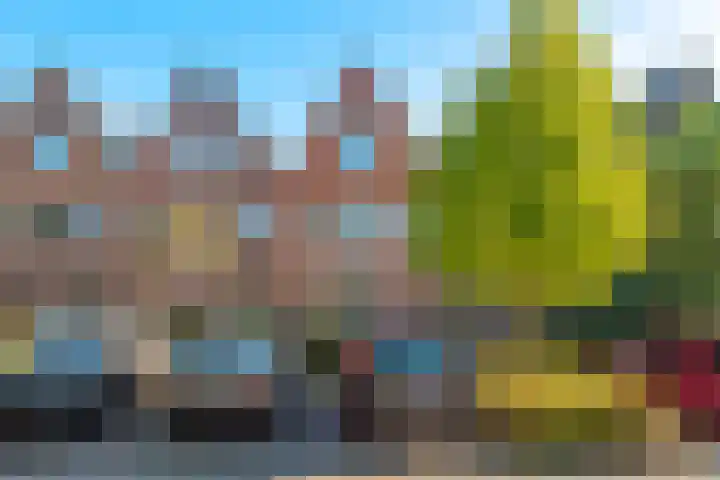 Watersingel 26 Leek thumbnail 5