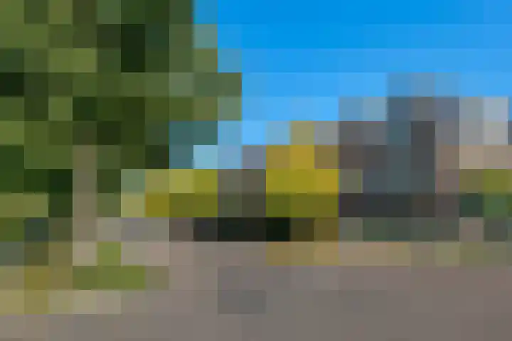 Watersingel 26 Leek thumbnail 6