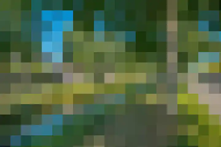 Watersingel 26 Leek thumbnail 8