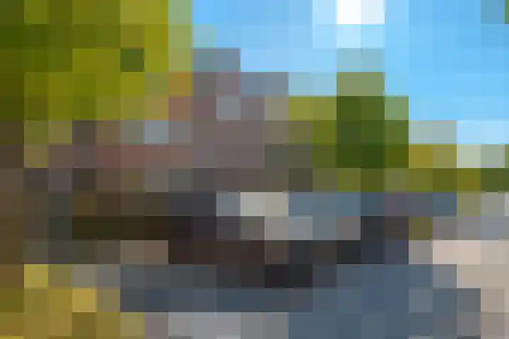 Watersingel 26 Leek thumbnail 9
