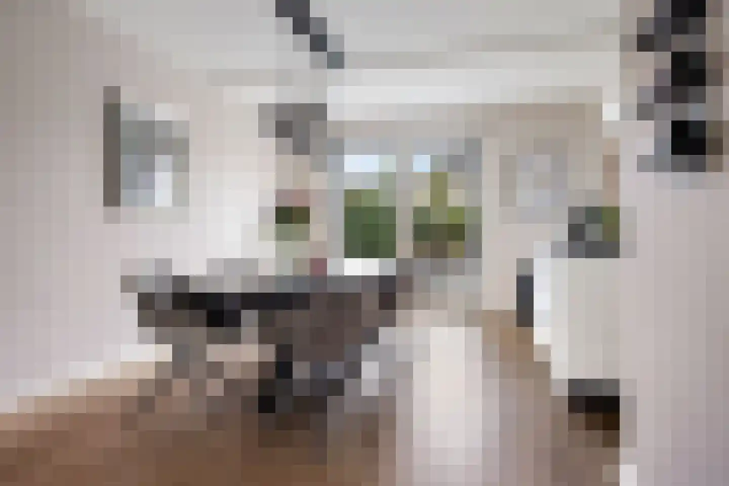 Watersingel 45 Leek thumbnail 12