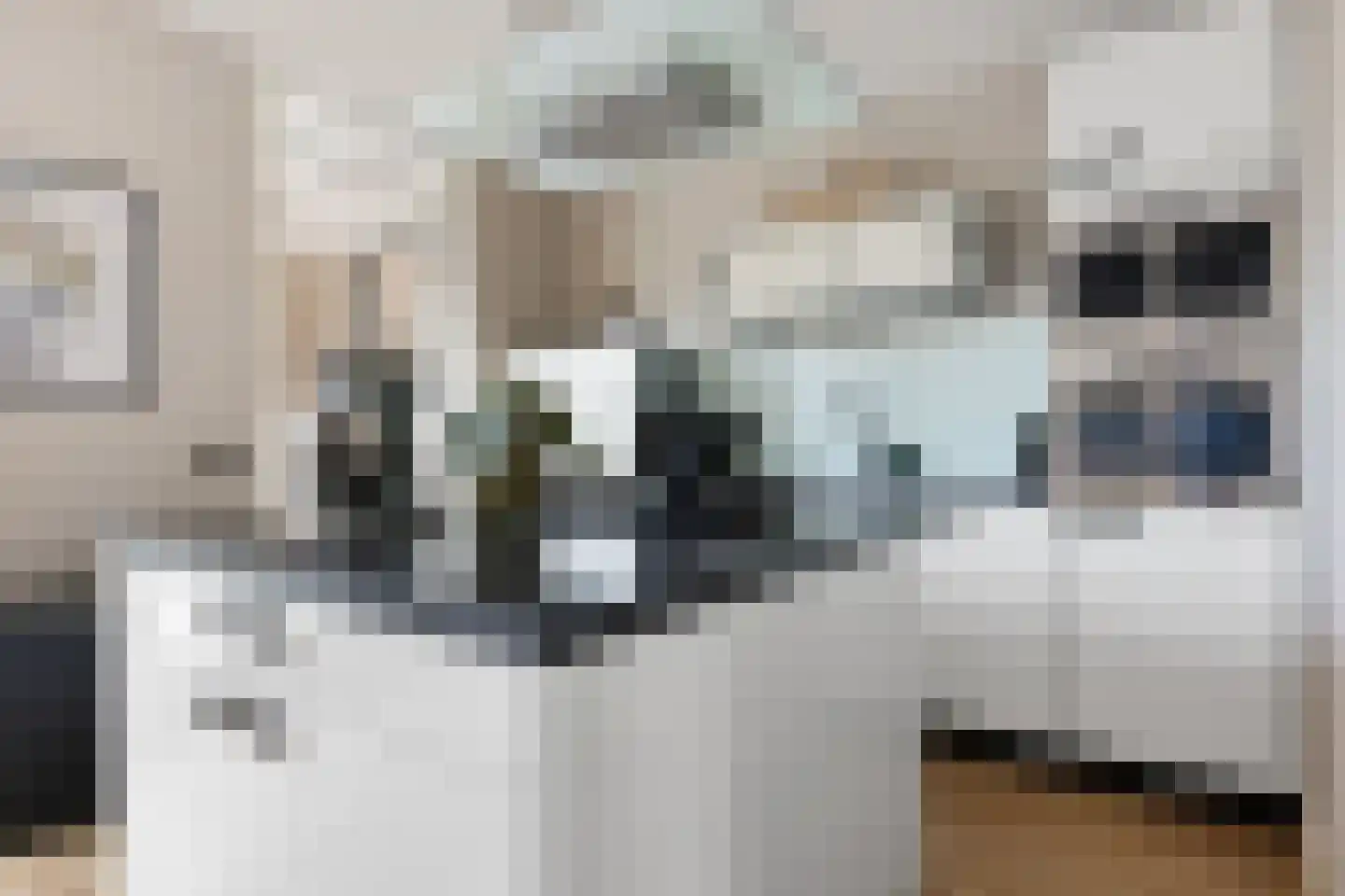 Watersingel 45 Leek thumbnail 17