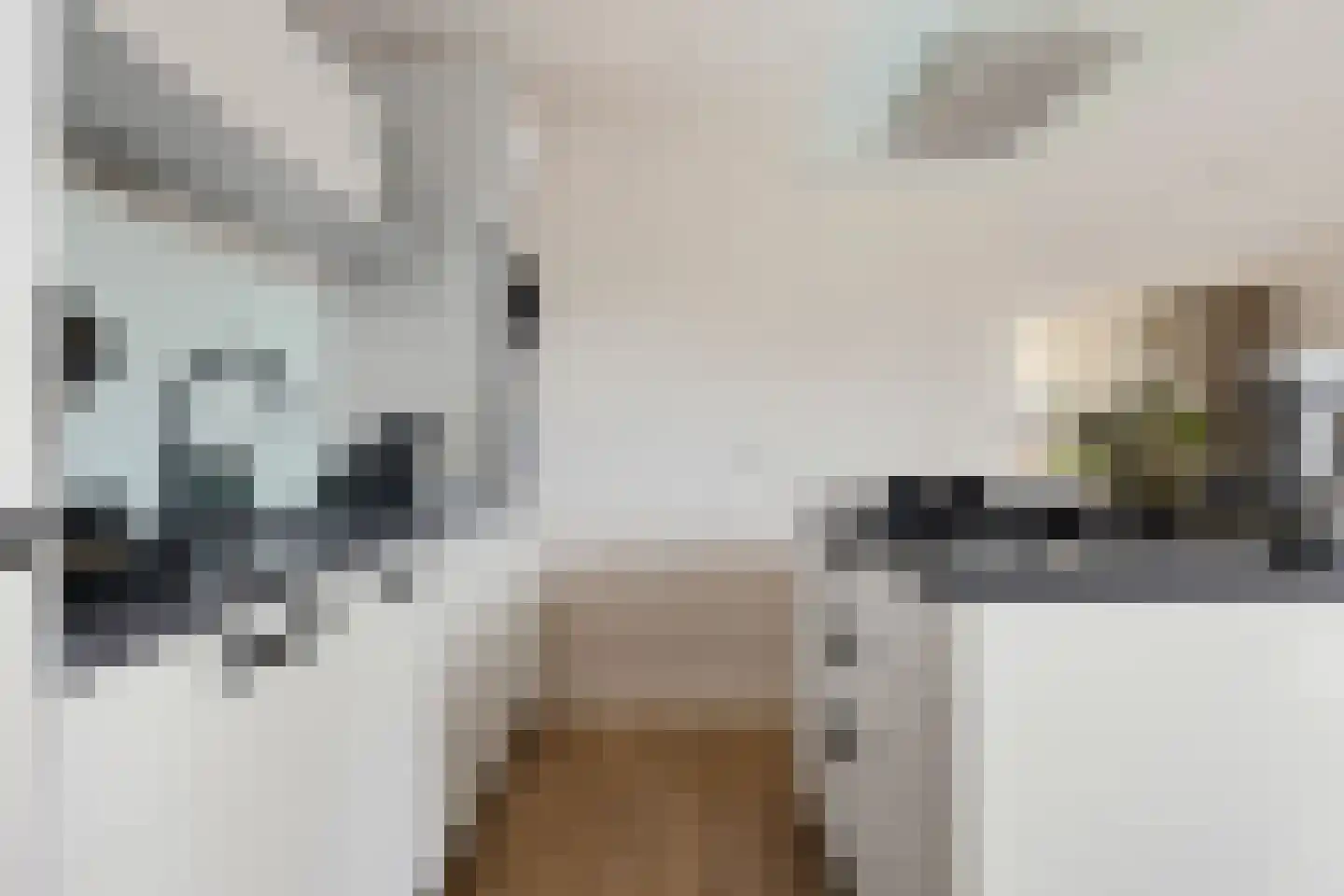 Watersingel 45 Leek thumbnail 18