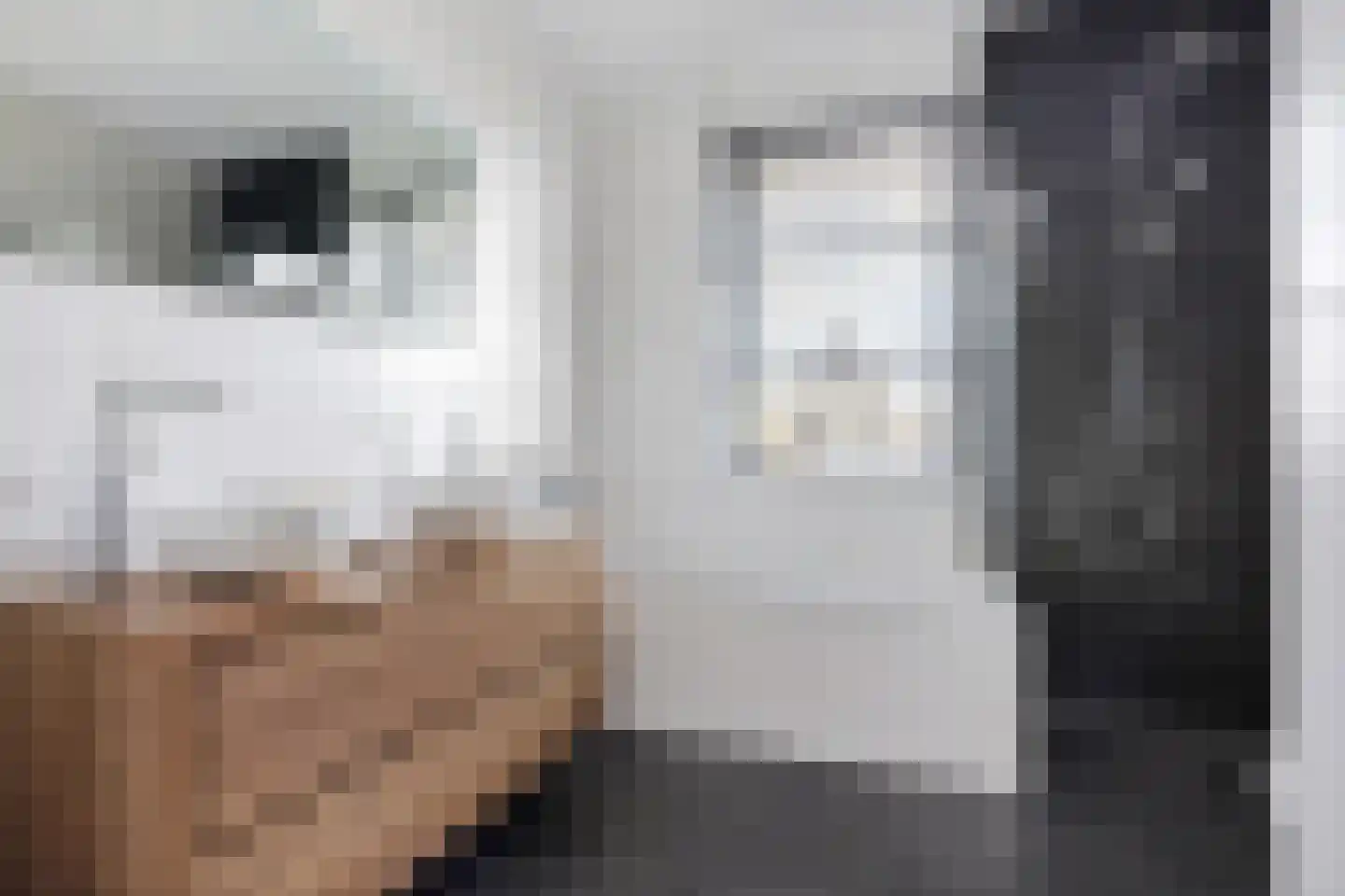 Watersingel 45 Leek thumbnail 29