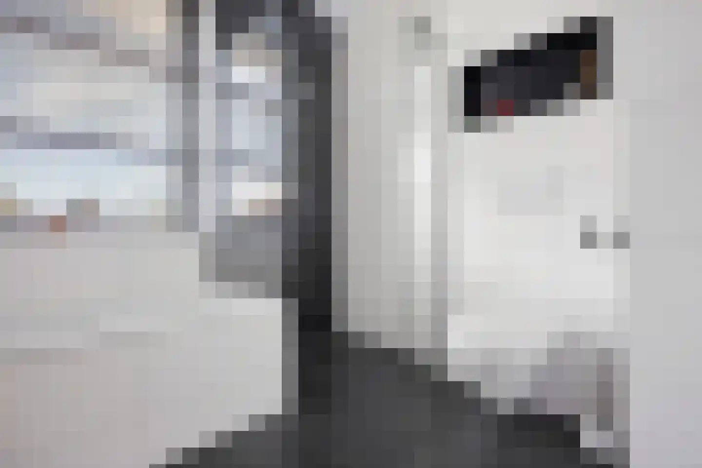 Watersingel 45 Leek thumbnail 31