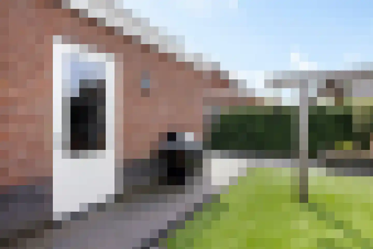 Watersingel 45 Leek thumbnail 37