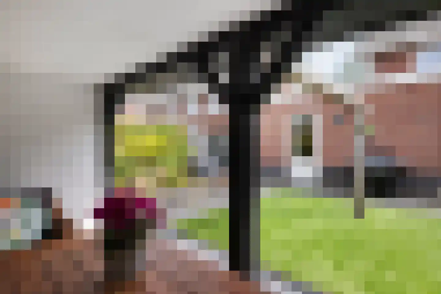 Watersingel 45 Leek thumbnail 40