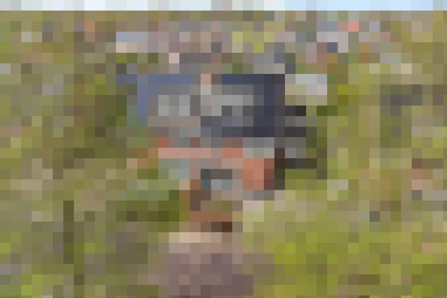 Watersingel 45 Leek thumbnail 43
