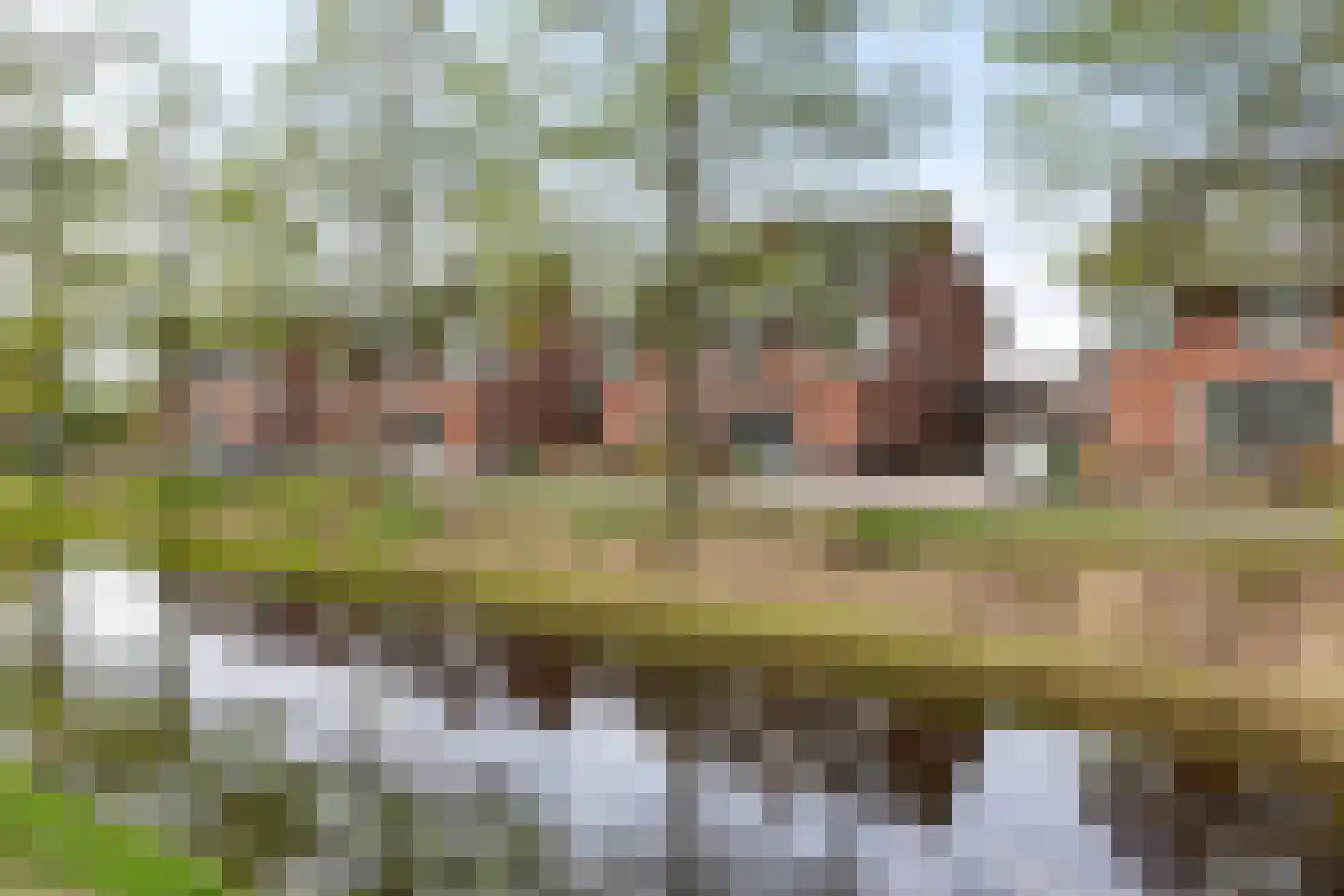 Watersingel 45 Leek thumbnail 45
