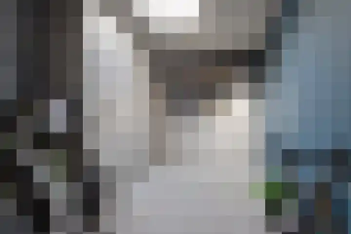 Watersingel 63 Leek thumbnail 27