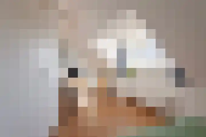 Watersingel 63 Leek thumbnail 40