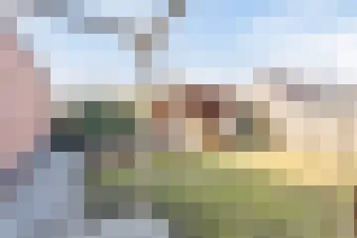 Watersingel 63 Leek thumbnail 45