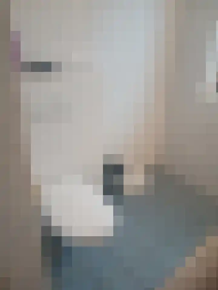 Watersingel 78 Leek thumbnail 13