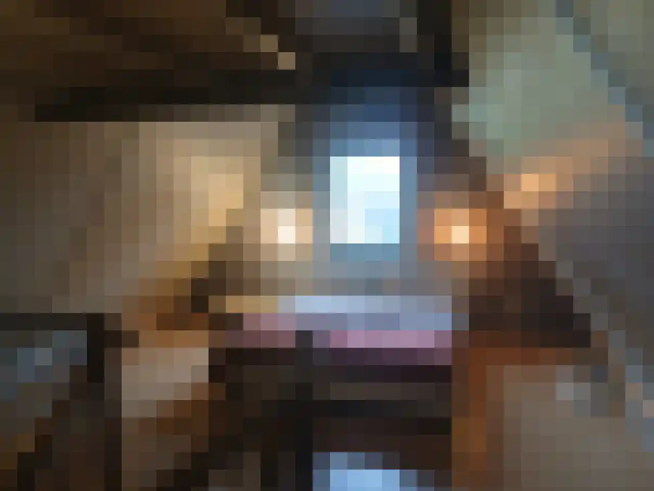 Watersingel 78 Leek thumbnail 17