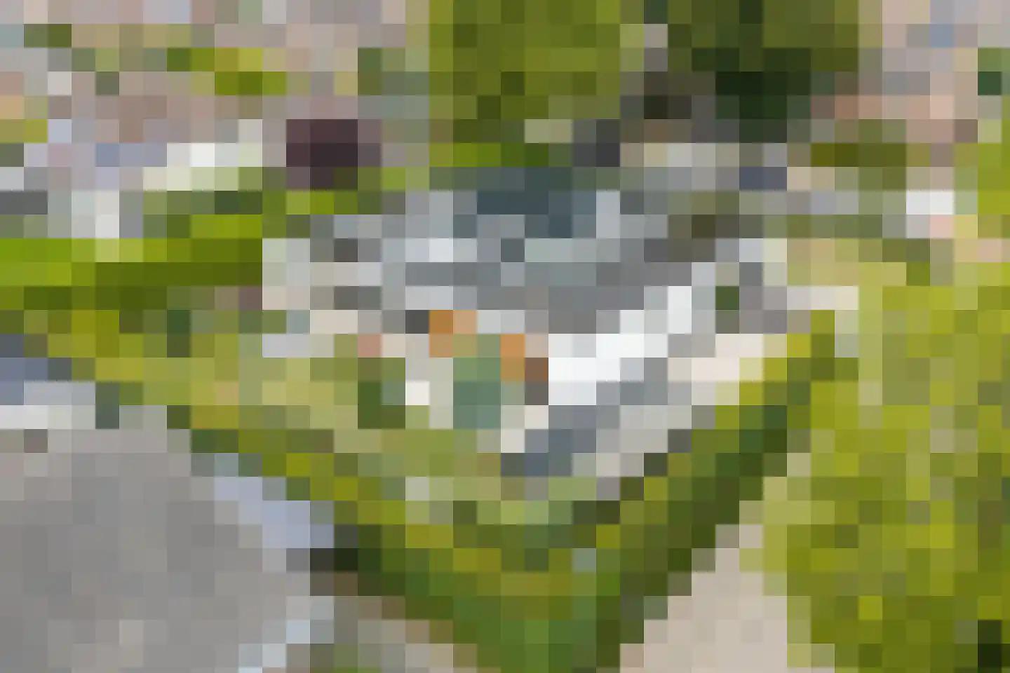 Watersleyerweg 54 Munstergeleen thumbnail 55