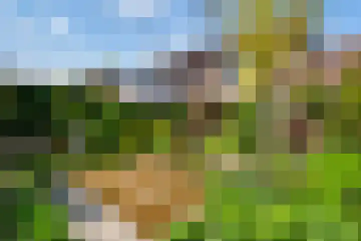 Watersleyerweg 62 Munstergeleen thumbnail 4