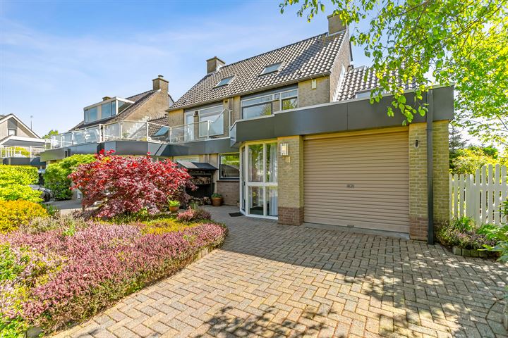 Watersnip 1 dans Muiderberg photo