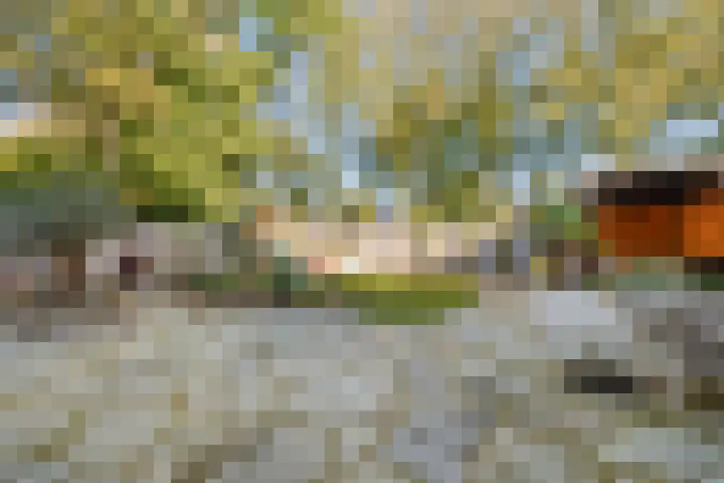 Watersnip 1 Eemnes thumbnail 48