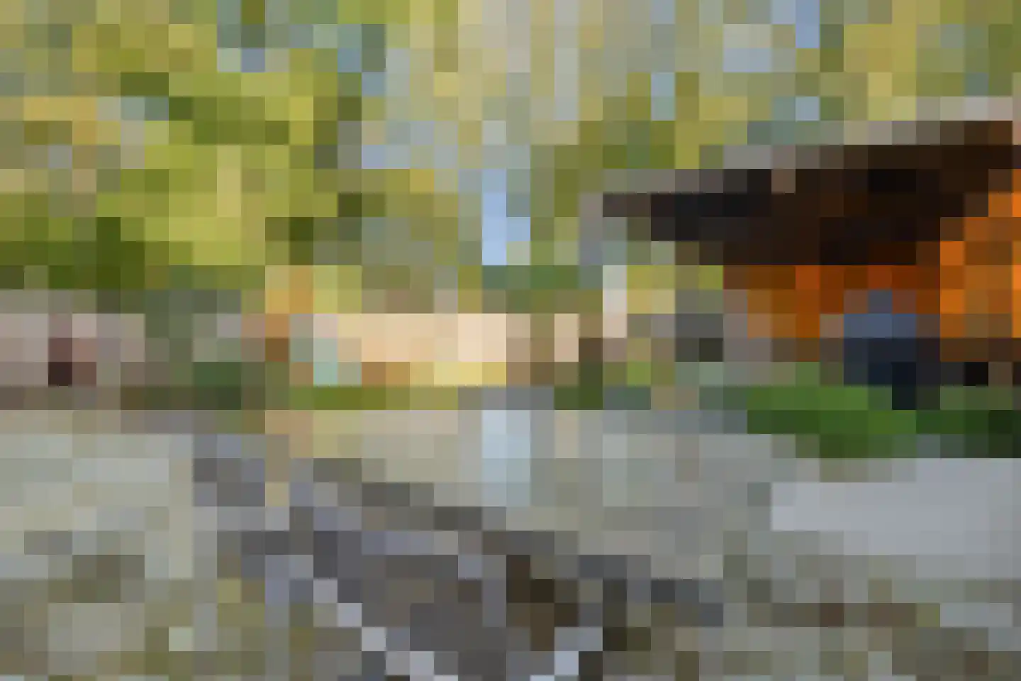 Watersnip 1 Eemnes thumbnail 50
