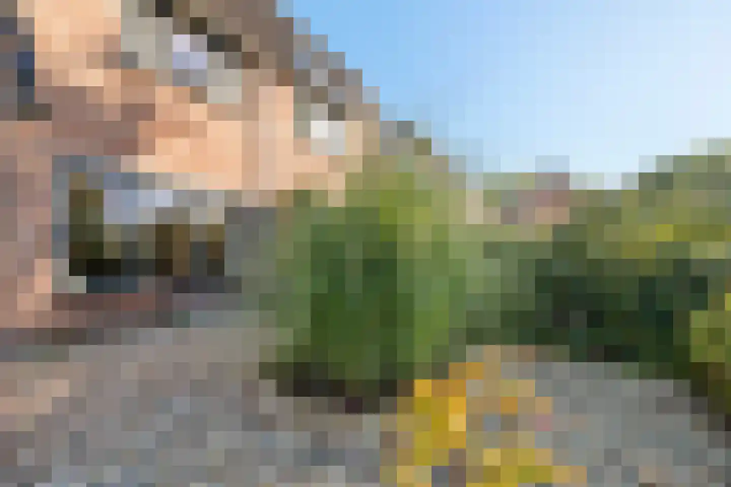 Watersnip 1 Eemnes thumbnail 6