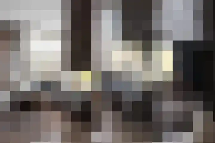 Watersnip 1 Hendrik-Ido-Ambacht thumbnail 10