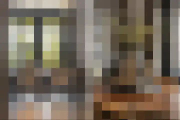 Watersnip 1 Hendrik-Ido-Ambacht thumbnail 13