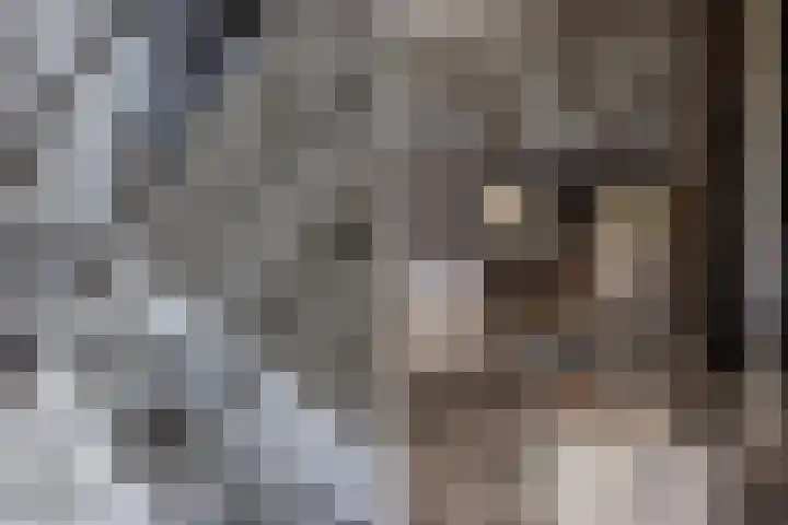 Watersnip 1 Hendrik-Ido-Ambacht thumbnail 14