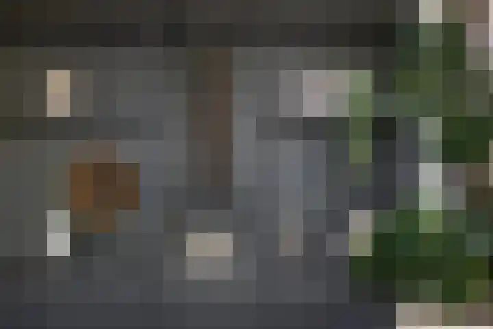 Watersnip 1 Hendrik-Ido-Ambacht thumbnail 15