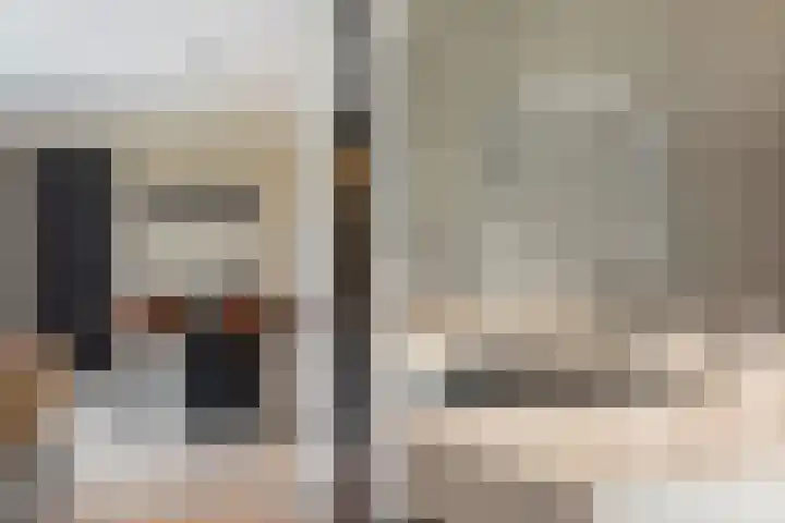 Watersnip 1 Hendrik-Ido-Ambacht thumbnail 20
