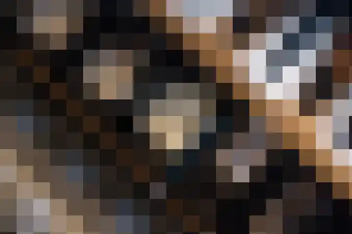 Watersnip 1 Hendrik-Ido-Ambacht thumbnail 22